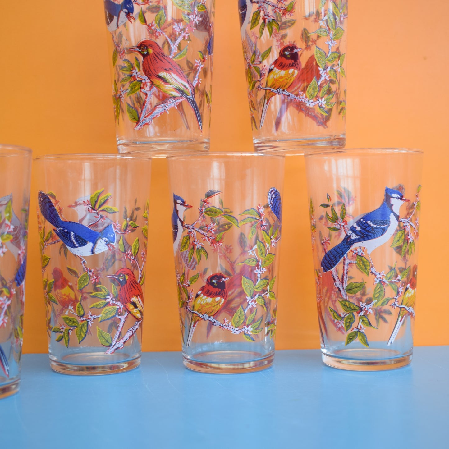 Vintage 1960s Drinking Glasses x6 - Bird Design