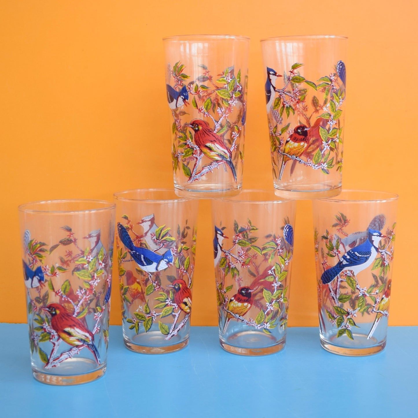 Vintage 1960s Drinking Glasses x6 - Bird Design