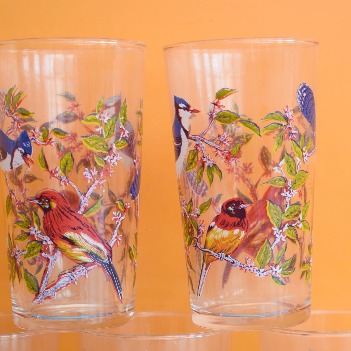 Vintage 1960s Drinking Glasses x6 - Bird Design