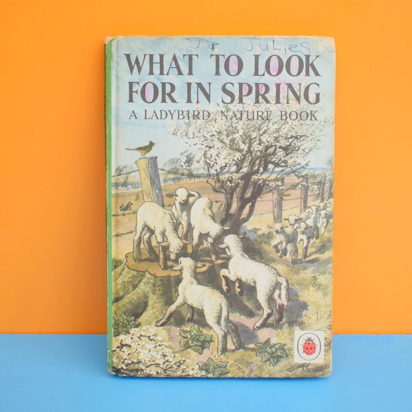 Vintage 1960s Ladybird Book - What to Look For In Spring .