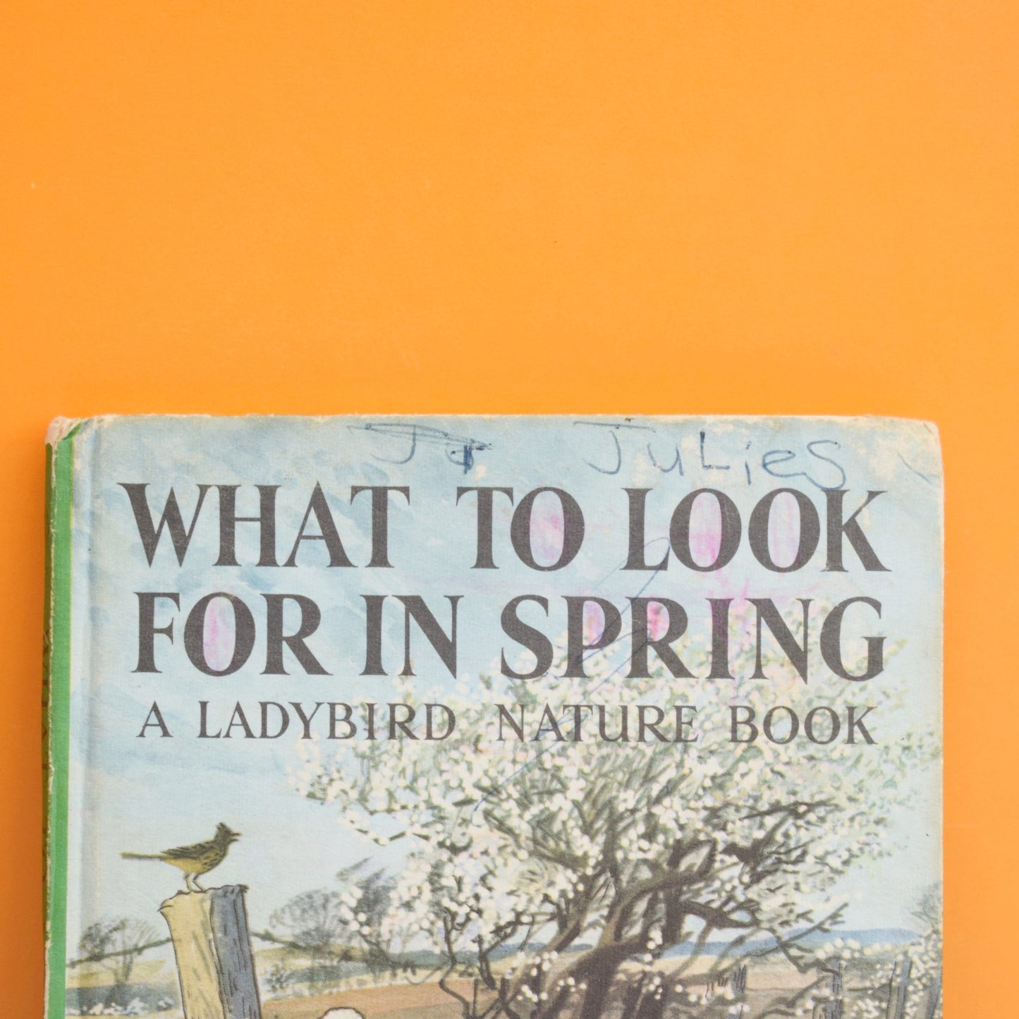 Vintage 1960s Ladybird Book - What to Look For In Spring .