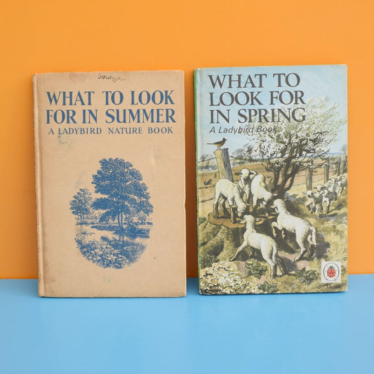 Vintage 1960s Ladybird Book - What to Look for in Summer & Spring