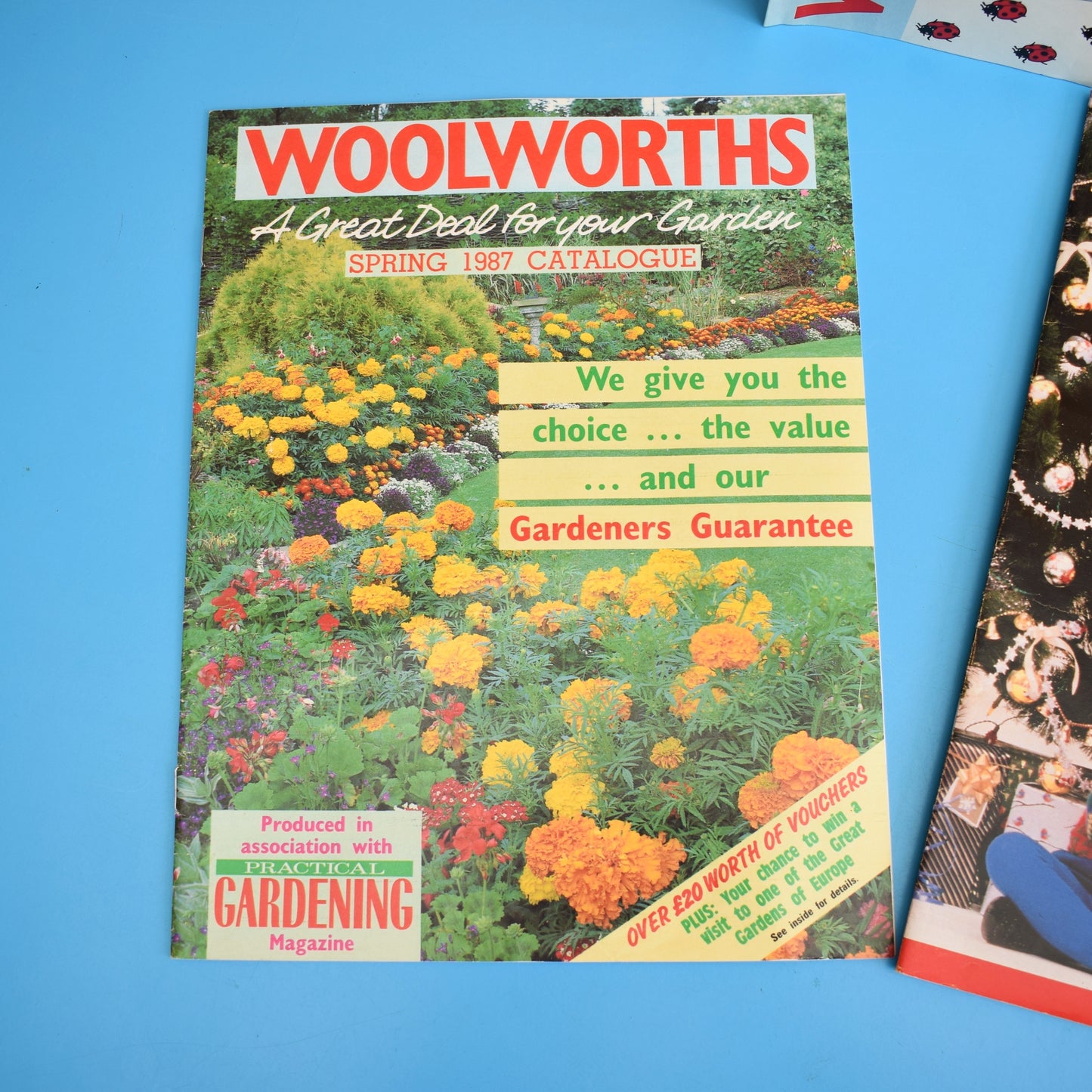 Vintage 1980s Woolworths Catalogue