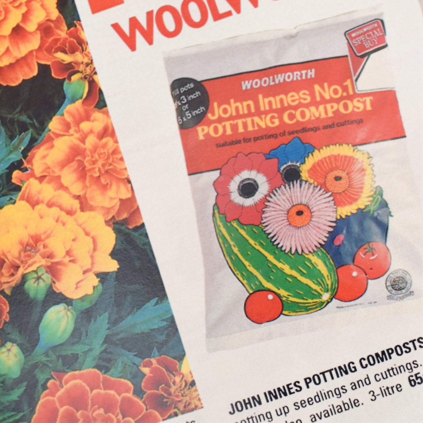 Vintage 1980s Woolworths Catalogue