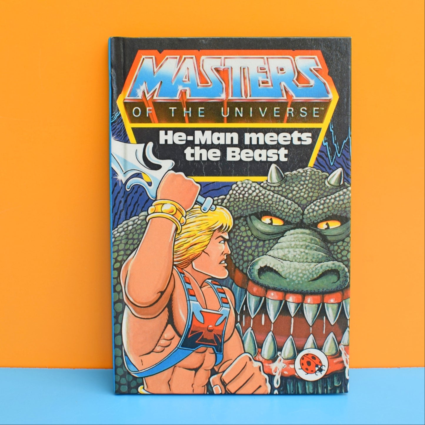 Vintage 1980s Ladybird Books - He-Man / She Ra