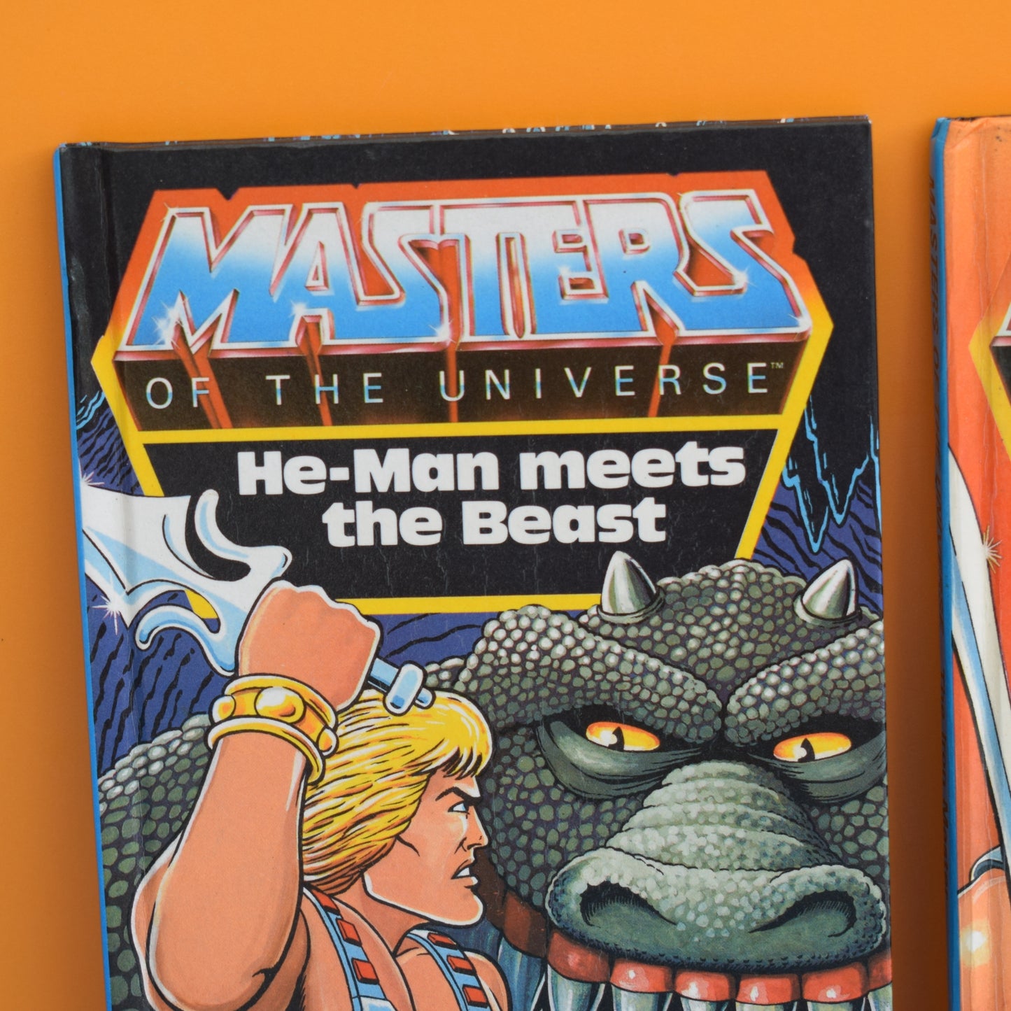 Vintage 1980s Ladybird Books - He-Man / She Ra