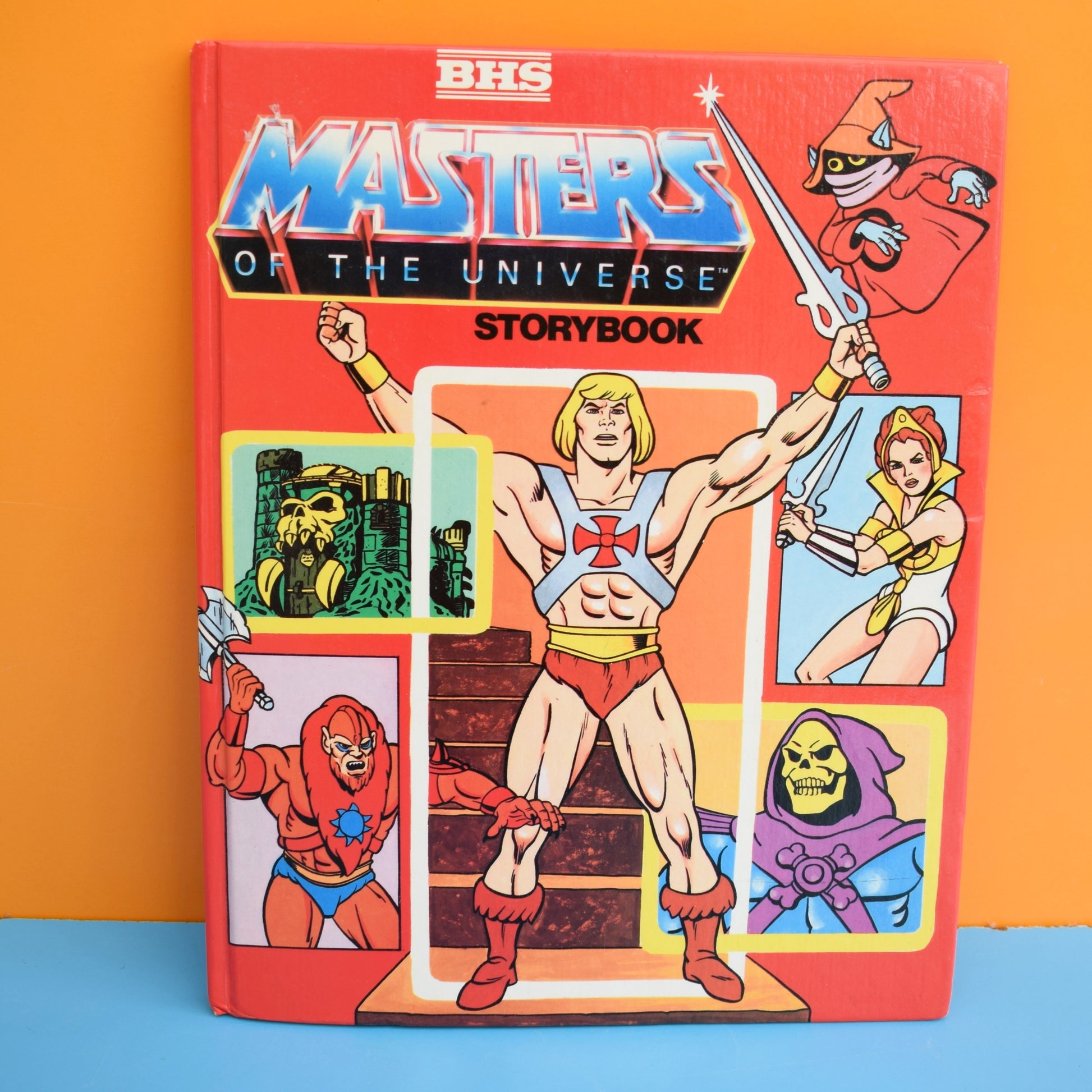 Vintage 1980s He-Man Masters Of the Universe Book – Pineapple Retro