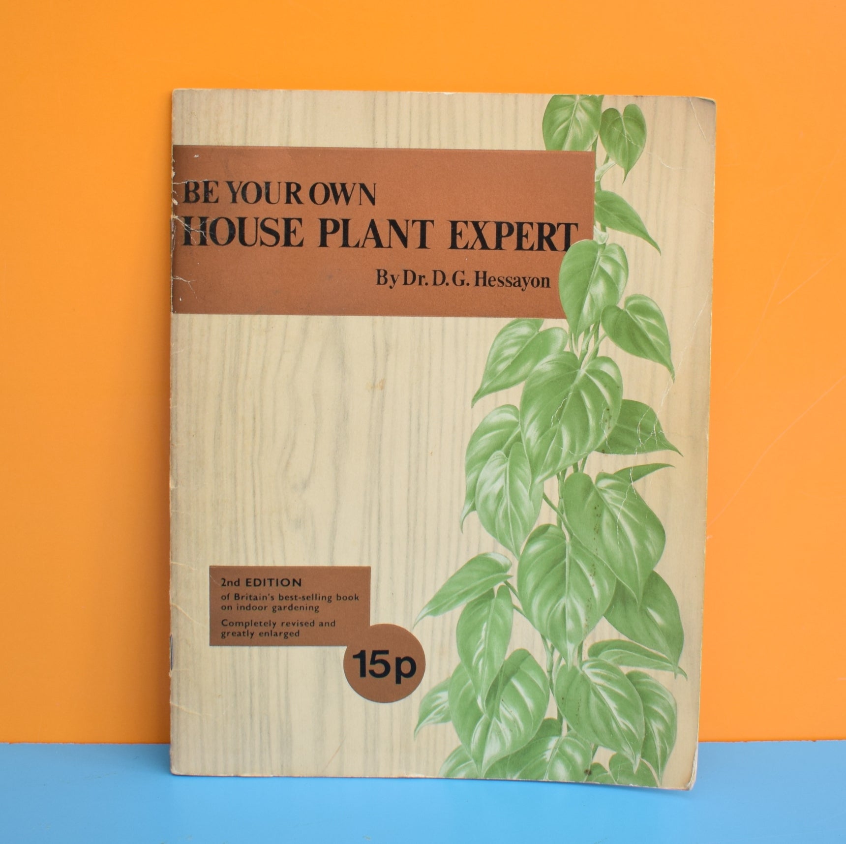 Vintage 1970s Be Your Own House Plant Expert Book – Pineapple Retro