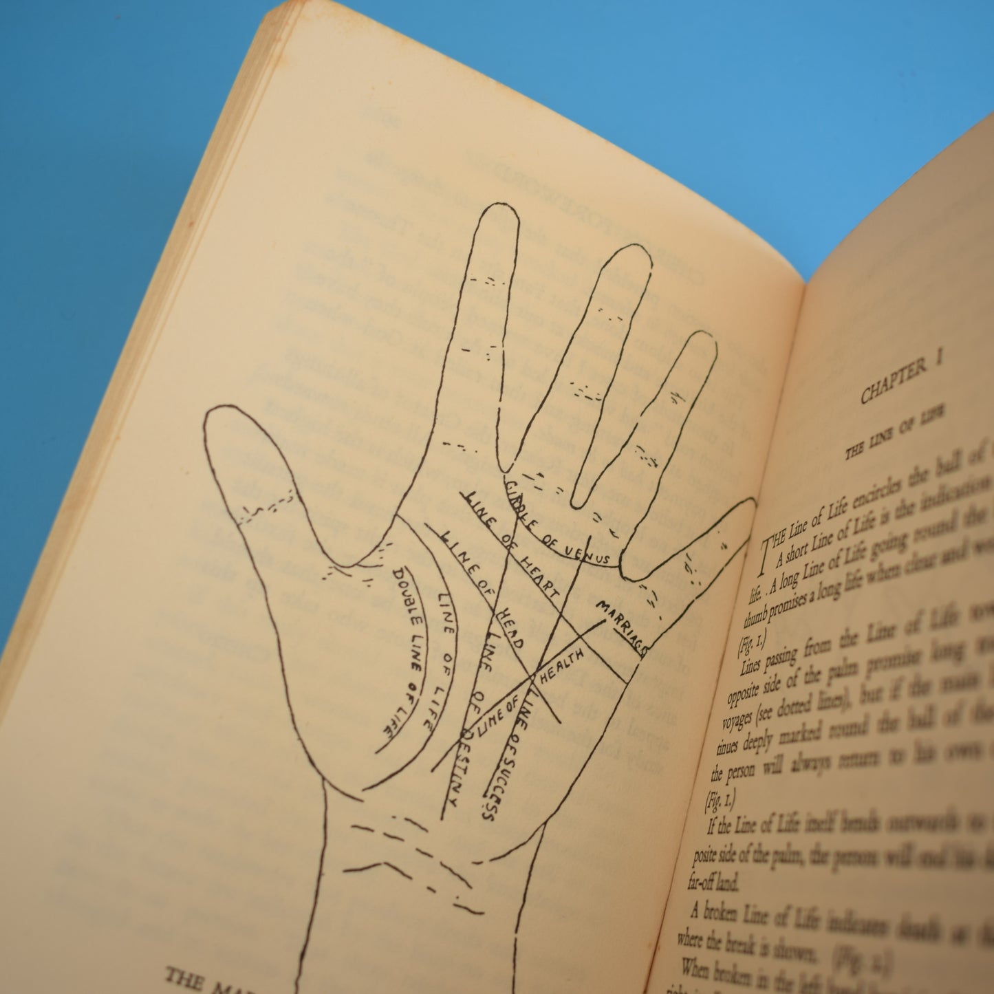 Vintage 1950s Book - Cheiro's Palmistry Guide